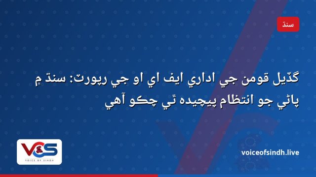 گڏيل قومن جي اداري ايف اي او جي رپورٽ: سنڌ ۾ پاڻي جو انتظام پيچيده ٿي چڪو آهي