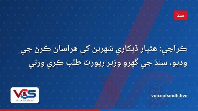 ڪراچي: هٿيار ڏيکاري شهرين کي هراسان ڪرڻ جي وڊيو، سنڌ جي گهرو وزير رپورٽ طلب ڪري ورتي
