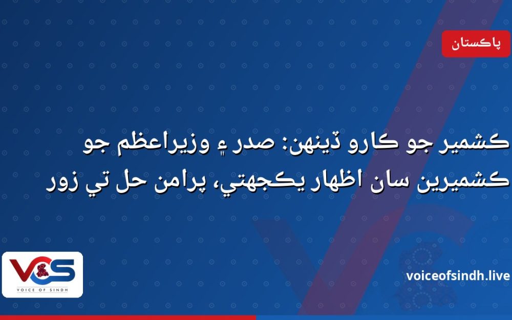 ڪشمير جو ڪارو ڏينهن: صدر ۽ وزيراعظم جو ڪشميرين سان اظهار يڪجهتي، پرامن حل تي زور