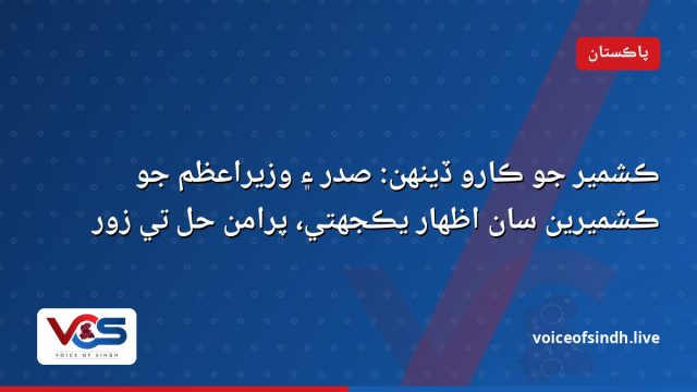 ڪشمير جو ڪارو ڏينهن: صدر ۽ وزيراعظم جو ڪشميرين سان اظهار يڪجهتي، پرامن حل تي زور